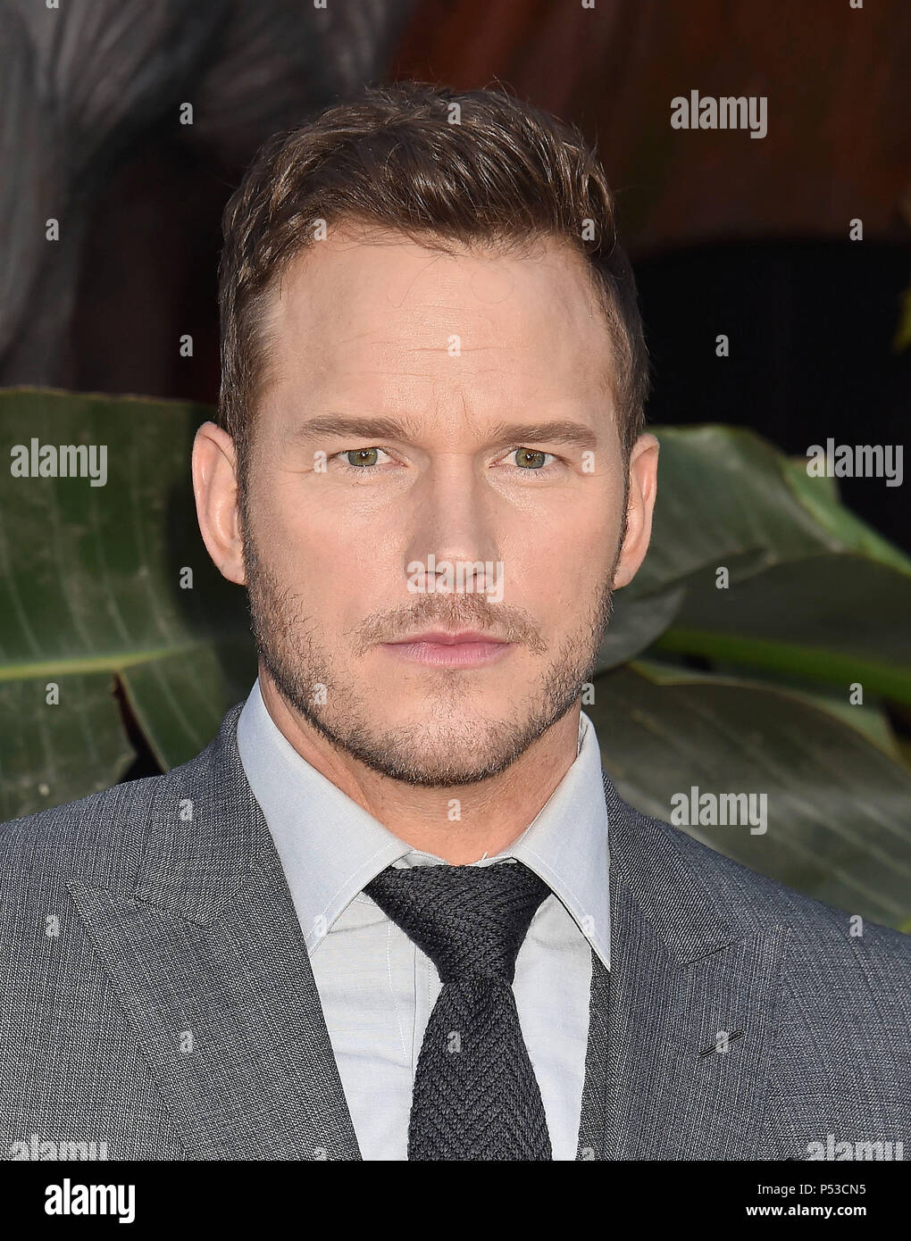 CHRIS PRATT US film actor  attends the premiere of Universal Pictures and Amblin Entertainment's 'Jurassic World: Fallen Kingdom' at Walt Disney Concert Hall on June 12, 2018 in Los Angeles, California. Photo: Jeffrey Mayer Stock Photo