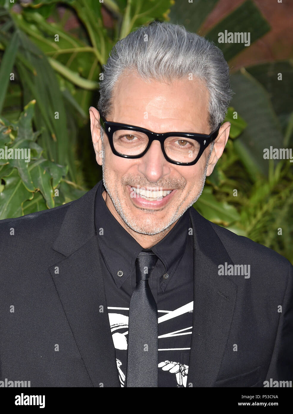 JEFF GOLDBLUM US film actor  attends the premiere of Universal Pictures and Amblin Entertainment's 'Jurassic World: Fallen Kingdom' at Walt Disney Concert Hall on June 12, 2018 in Los Angeles, California. Photo: Jeffrey Mayer Stock Photo