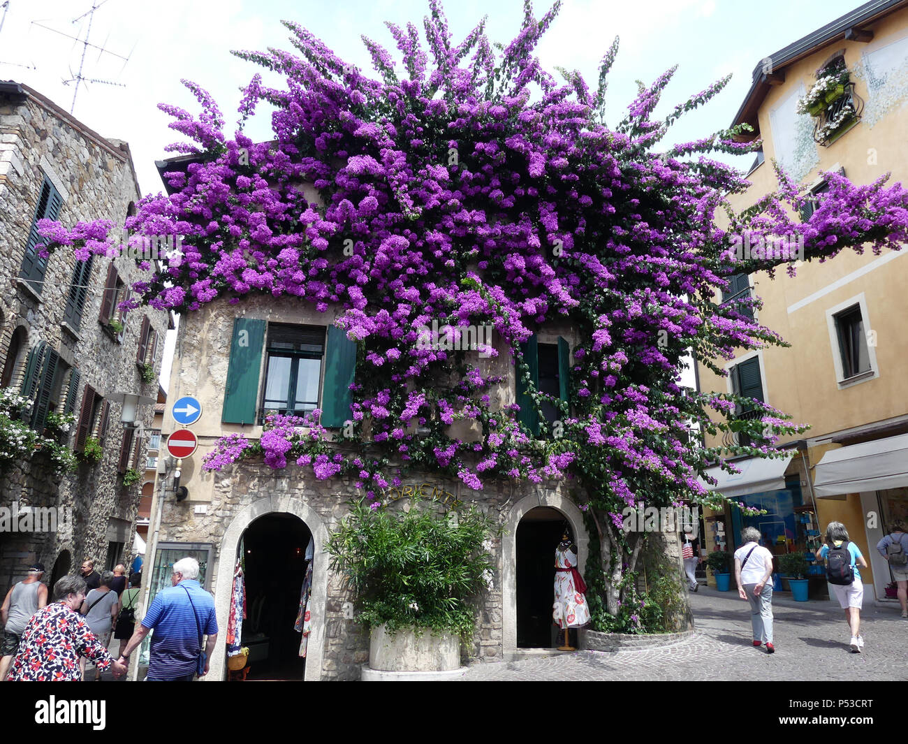 LIMONE town on Lake Garda. Photo: Tony Gale Stock Photo
