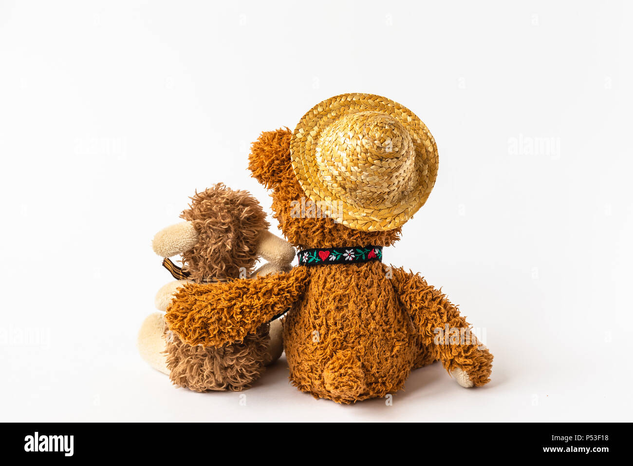 forever friends teddy