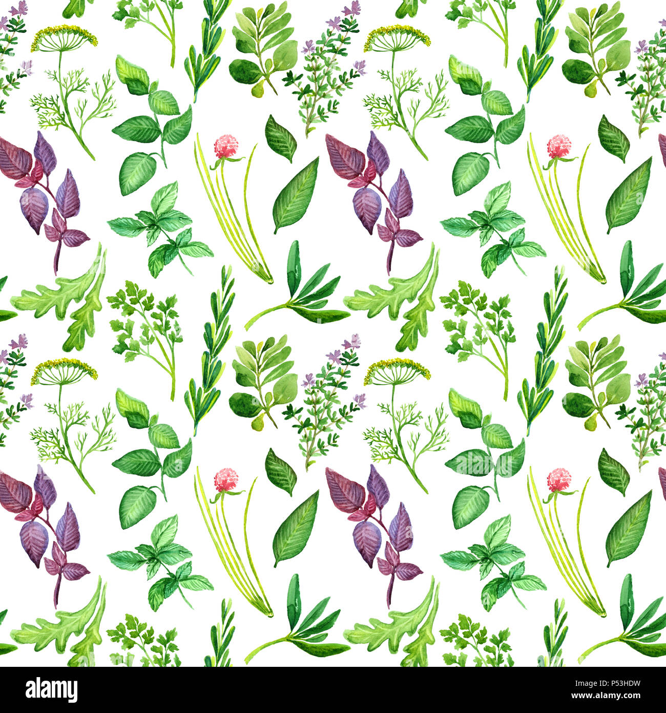 Rosemary thyme parsley and bay leaves hires stock photography and