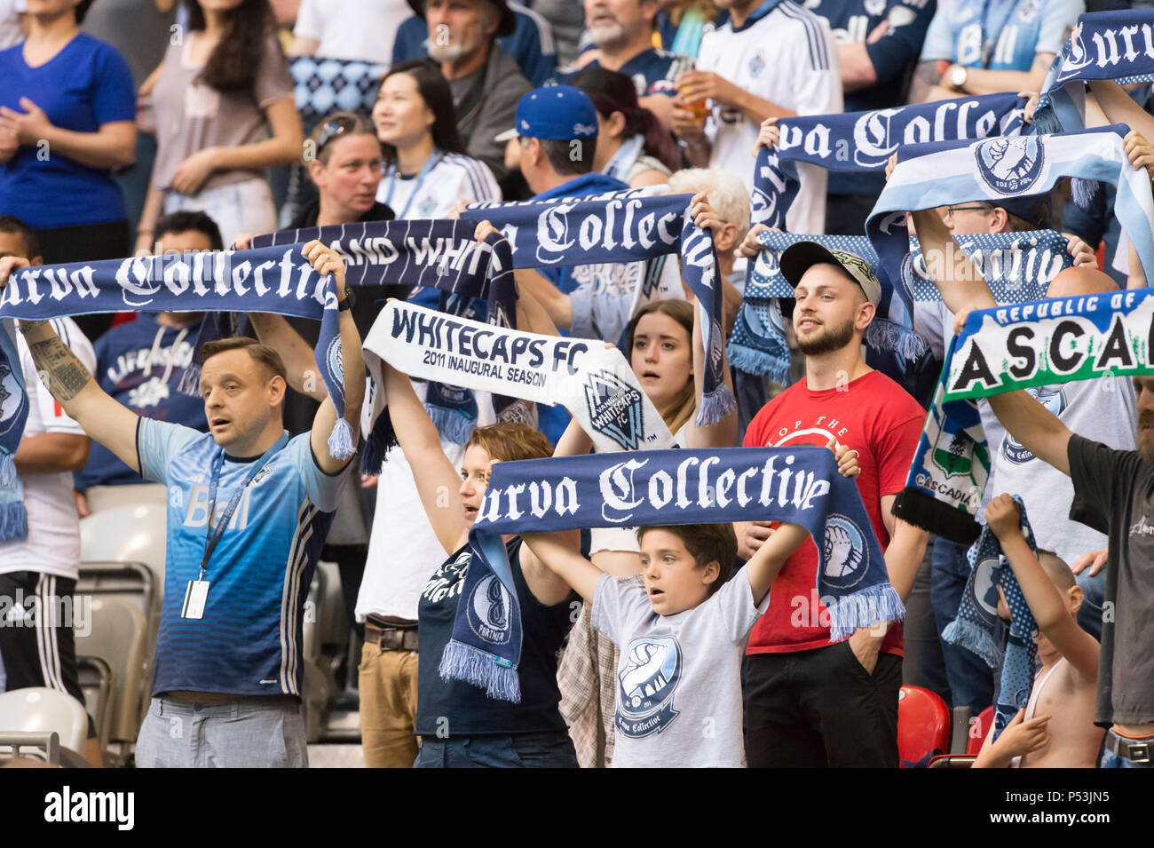 Soccer Fans, holding up Vancouver Whitecaps scarfs. Stock Photo