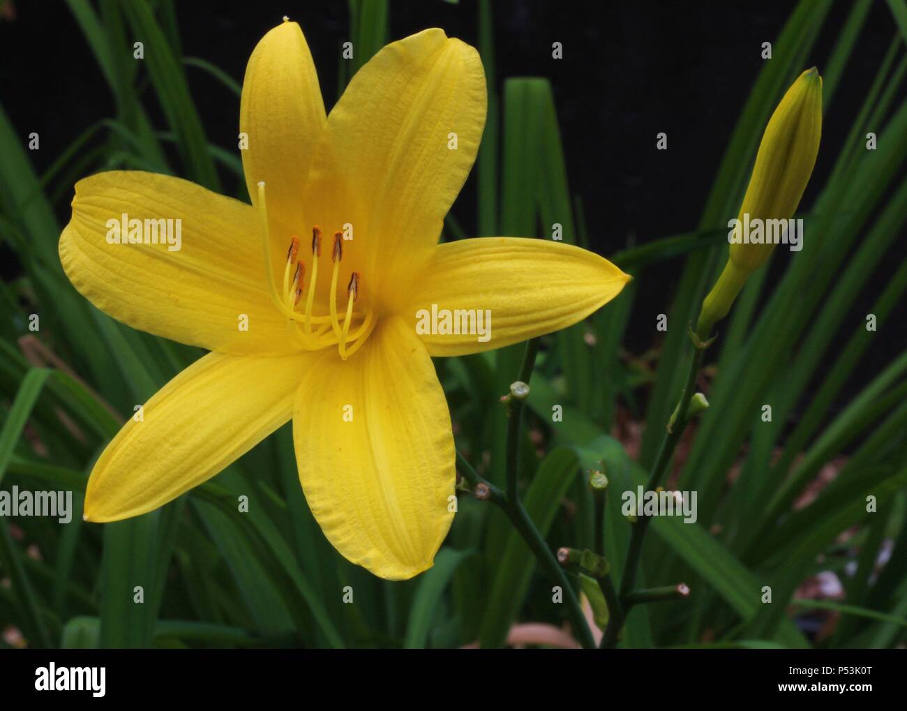 China Lake, China Lake Causeway, Maine, USA Stock Photo Alamy