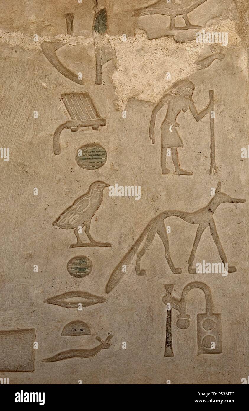 Mastaba of Nefer and Kahay. Hieroglyphic. 5th Dynasty. Old Kingdom. Saqqara. Egypt. Stock Photo