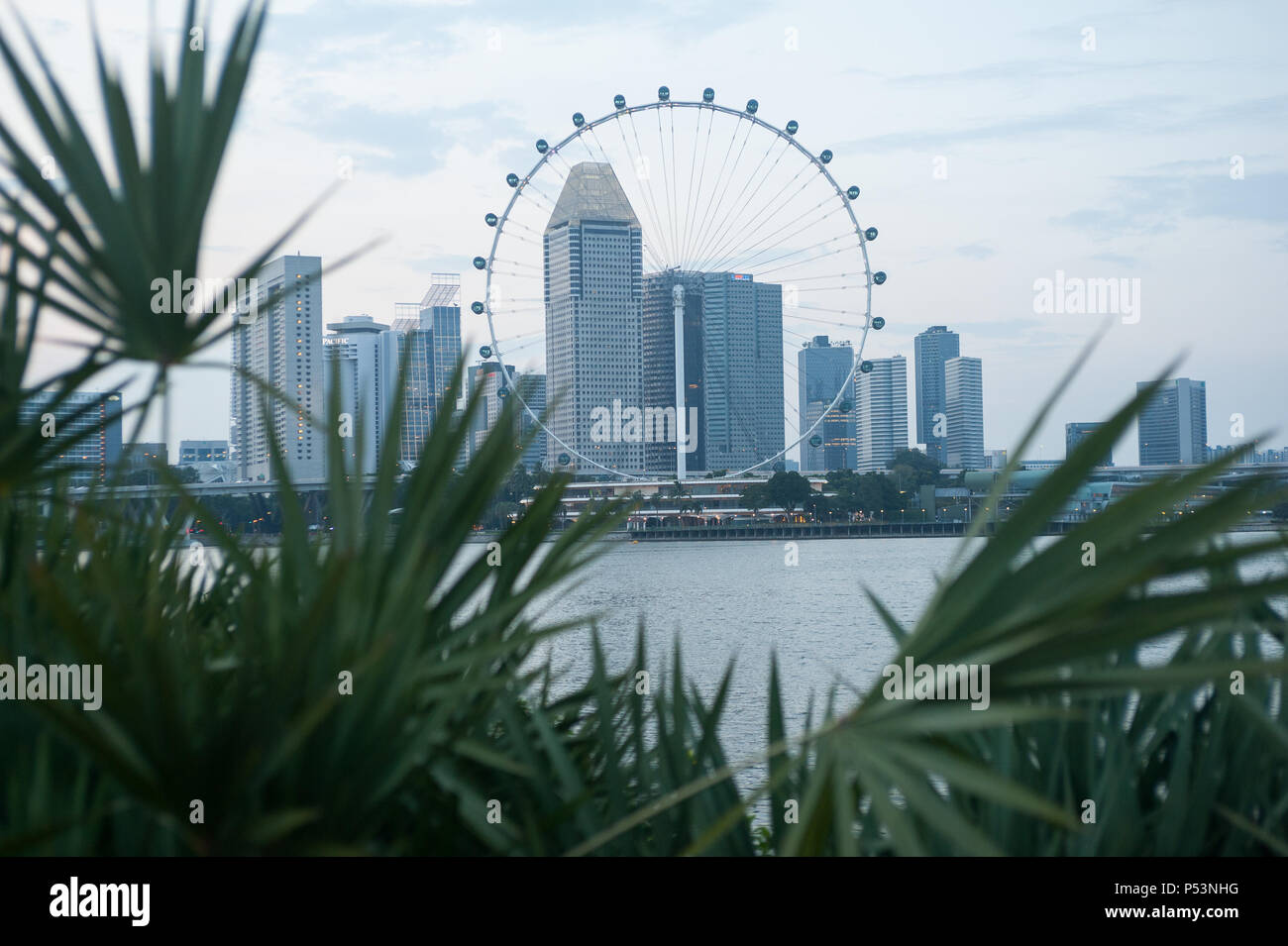 Singapore, Singapore, Marina Bay and Singapore Flyer Stock Photo
