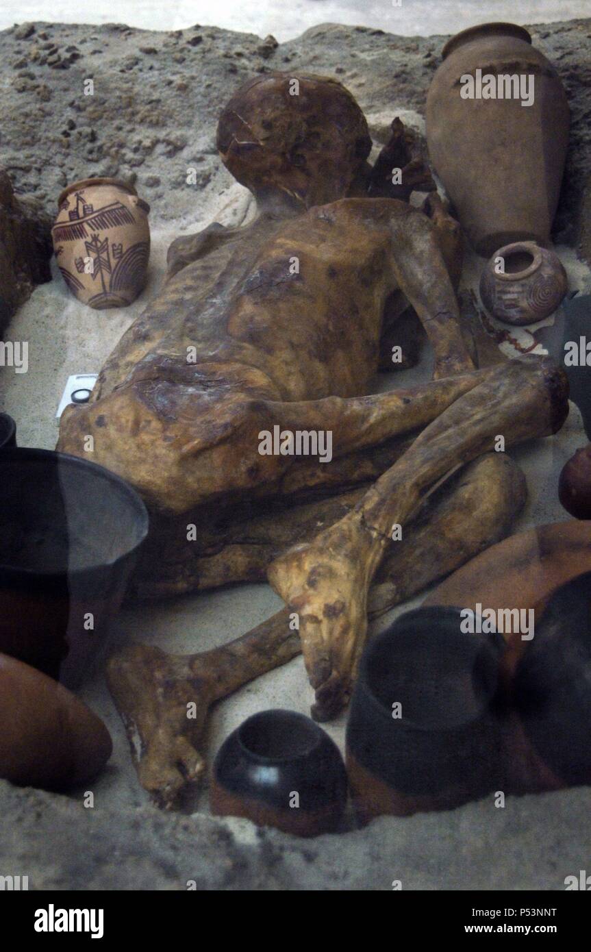 Egyptian tomb with a body naturally preserved and surrounded by grave goods. His naturally preservation is due to dry heat given off by the sand where he was buried. Known as Ginger mummy. Dated circa 3400 BC. Late Predynastic Period. British Museum. London. United Kingdom. Stock Photo