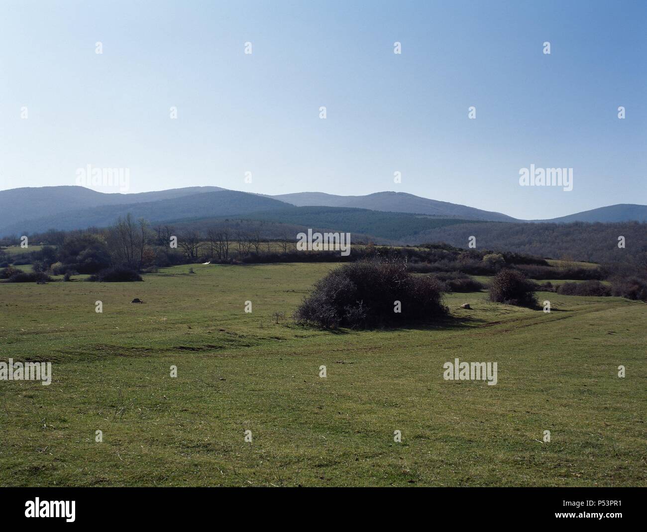 Nuevo paisaje hi-res stock photography and images - Alamy