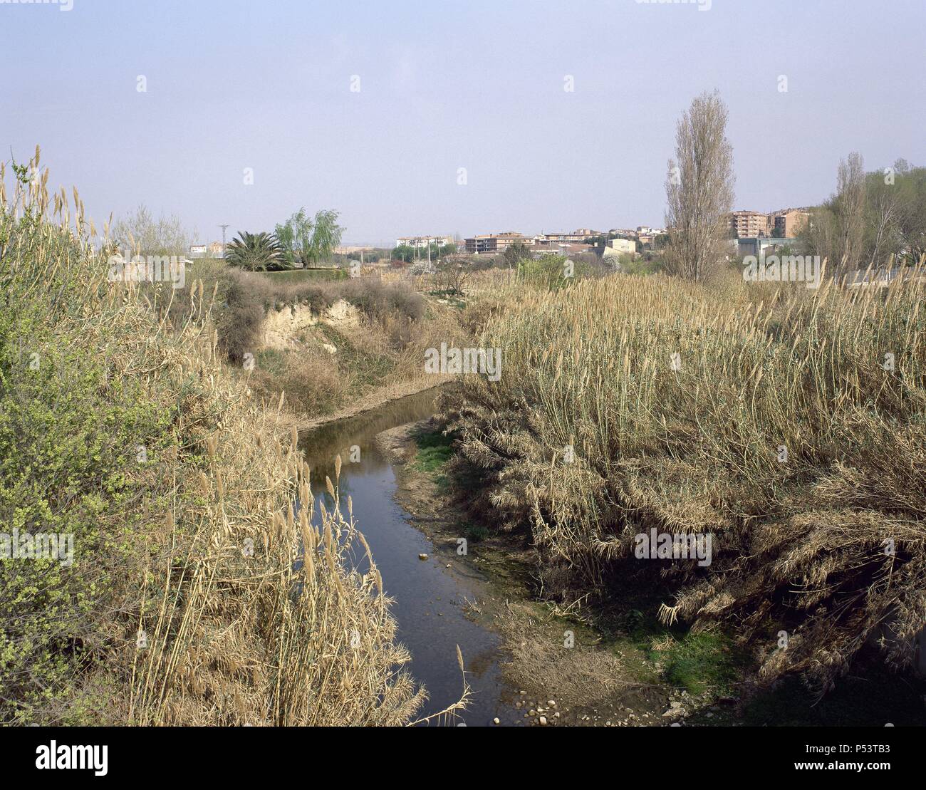 Arbol fluvial hi-res stock photography and images - Alamy
