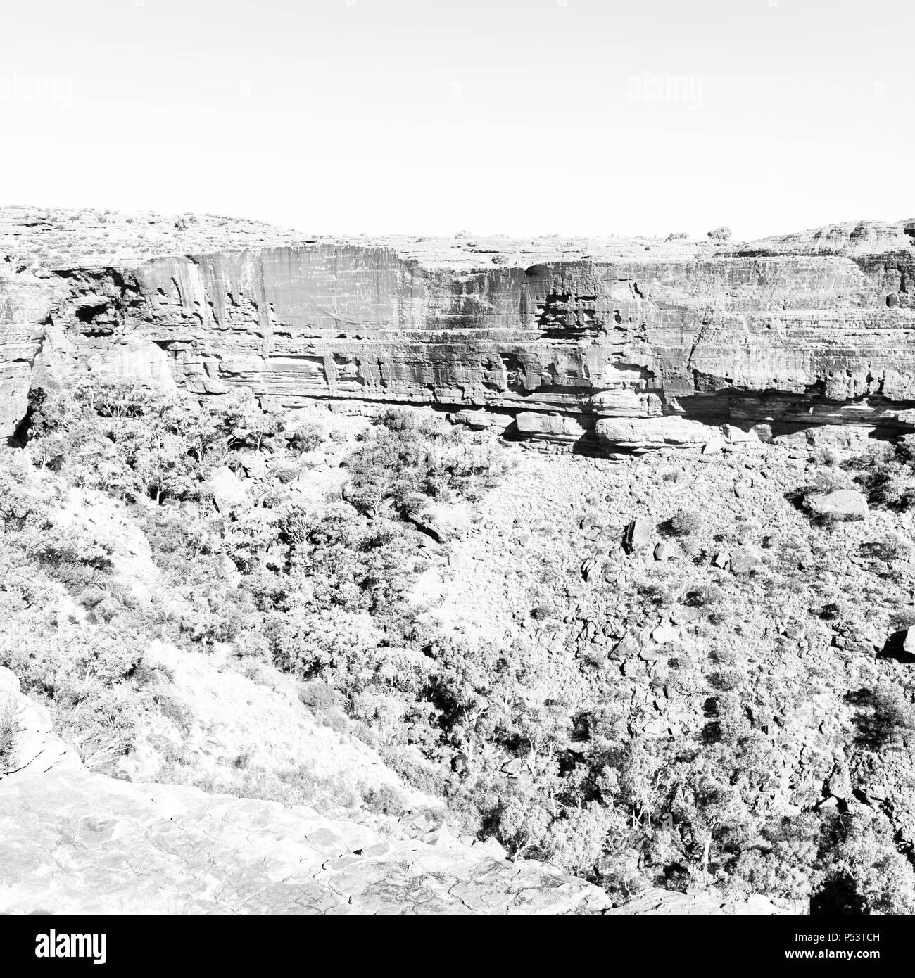 in australia the kings canyon nature wild and outback Stock Photo Alamy