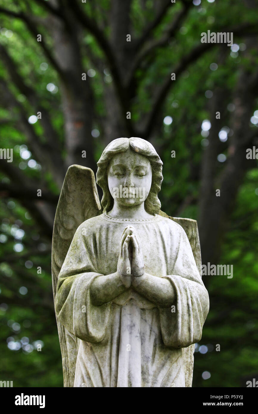 Angel with broken wing hi-res stock photography and images - Alamy