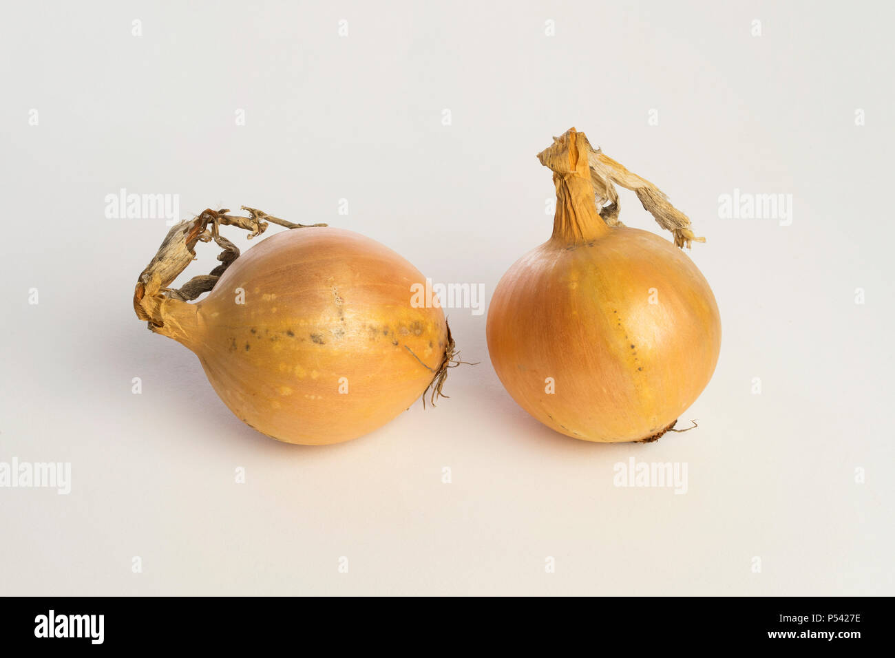 Yellow organic raw onions on white background. Good healthy food to eat