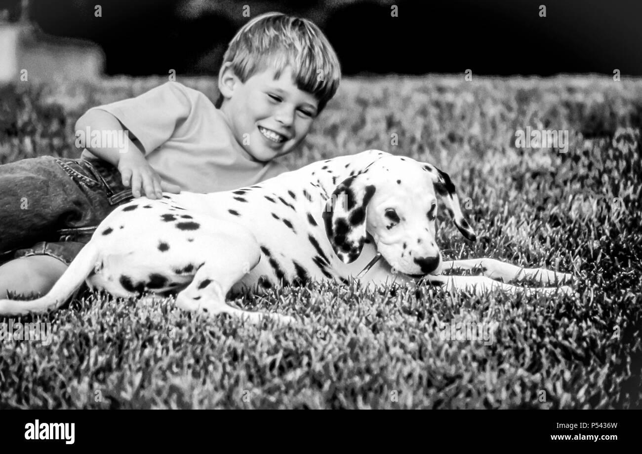 Boy playing with Dalmatian puppy MR.  © Myrleen Pearson.   Ferguson Cate Stock Photo