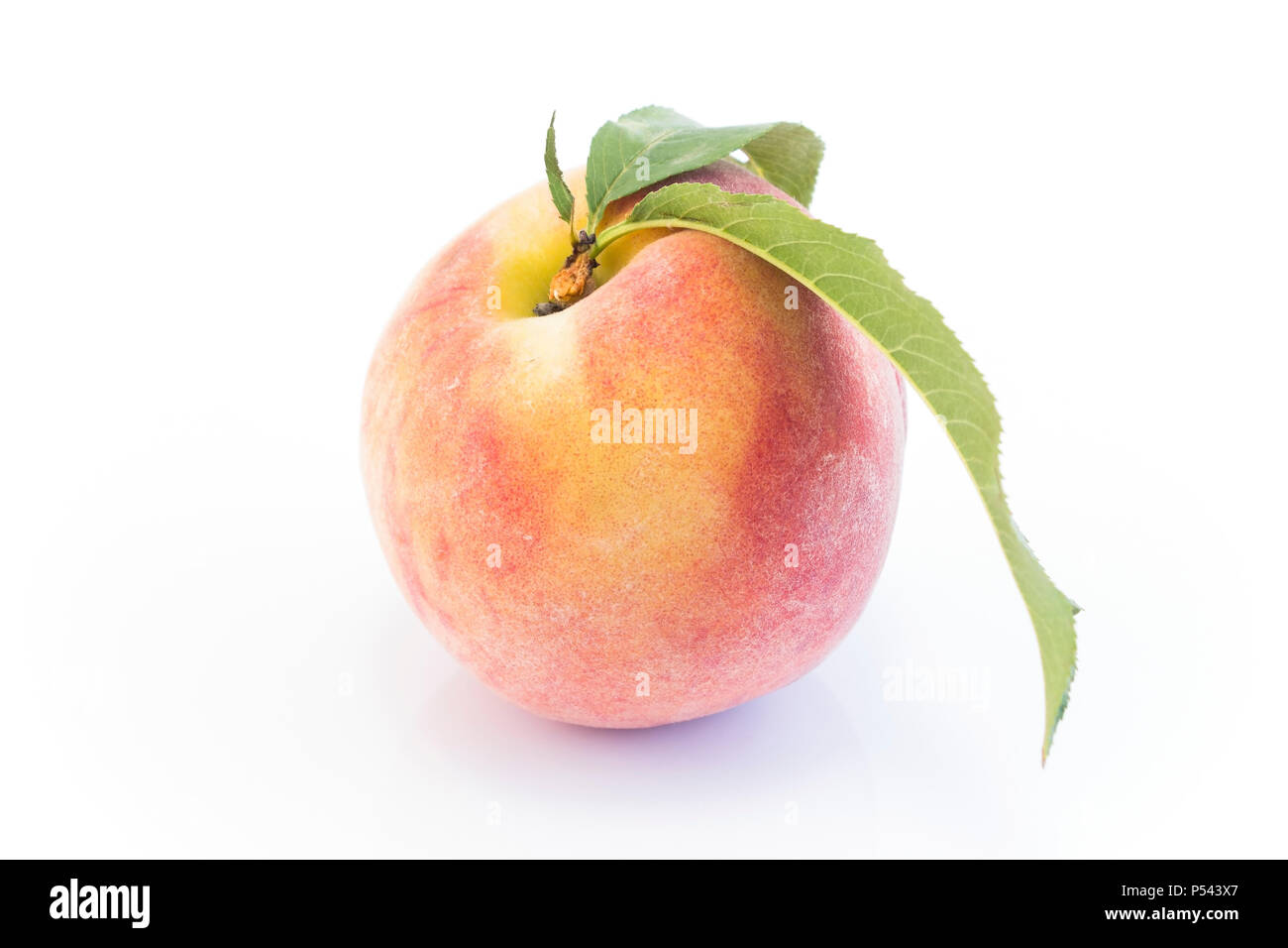 Peach Isolated on White Background. Stock Photo