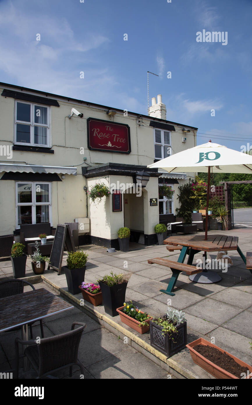 The rose tree pub hires stock photography and images Alamy