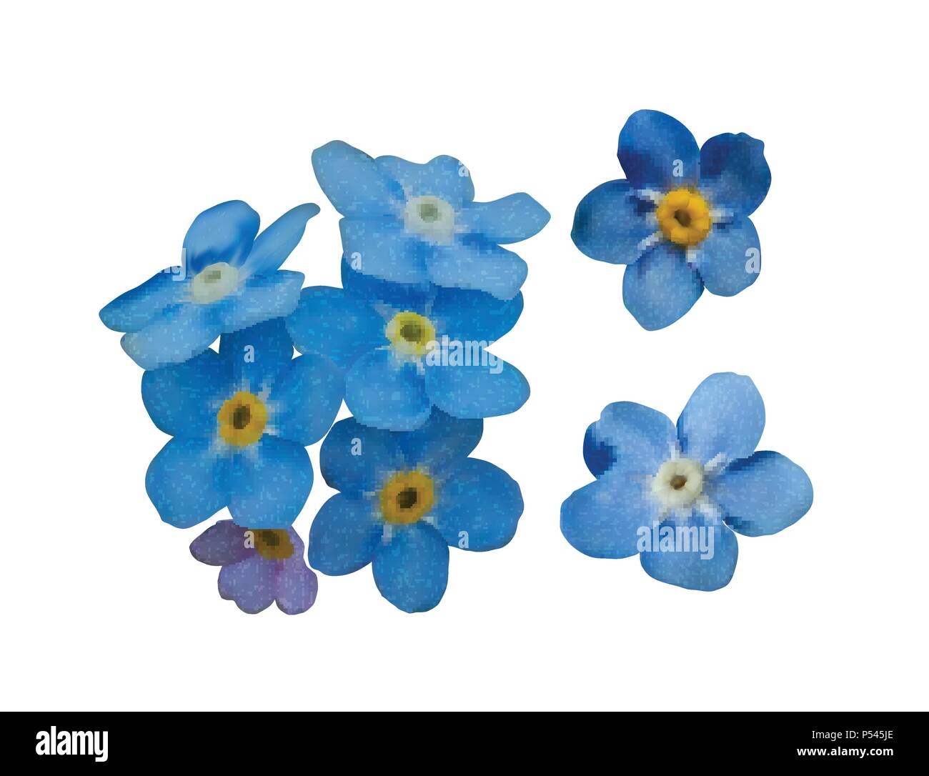 Blue forget me not spring flowers. Decorative elements vector set Stock ...