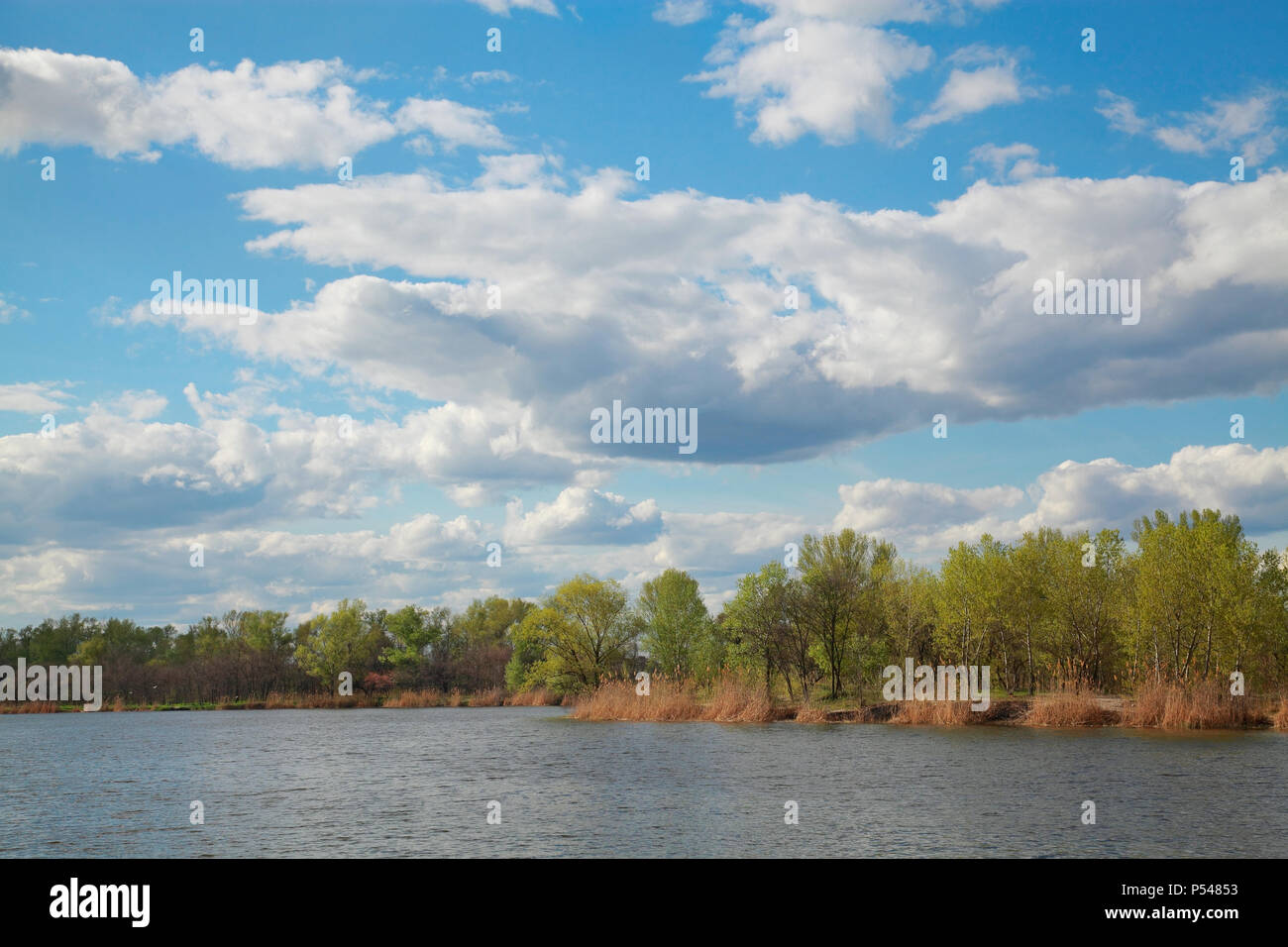 In this landscape of river, forest, cloudy sky Stock Photo
