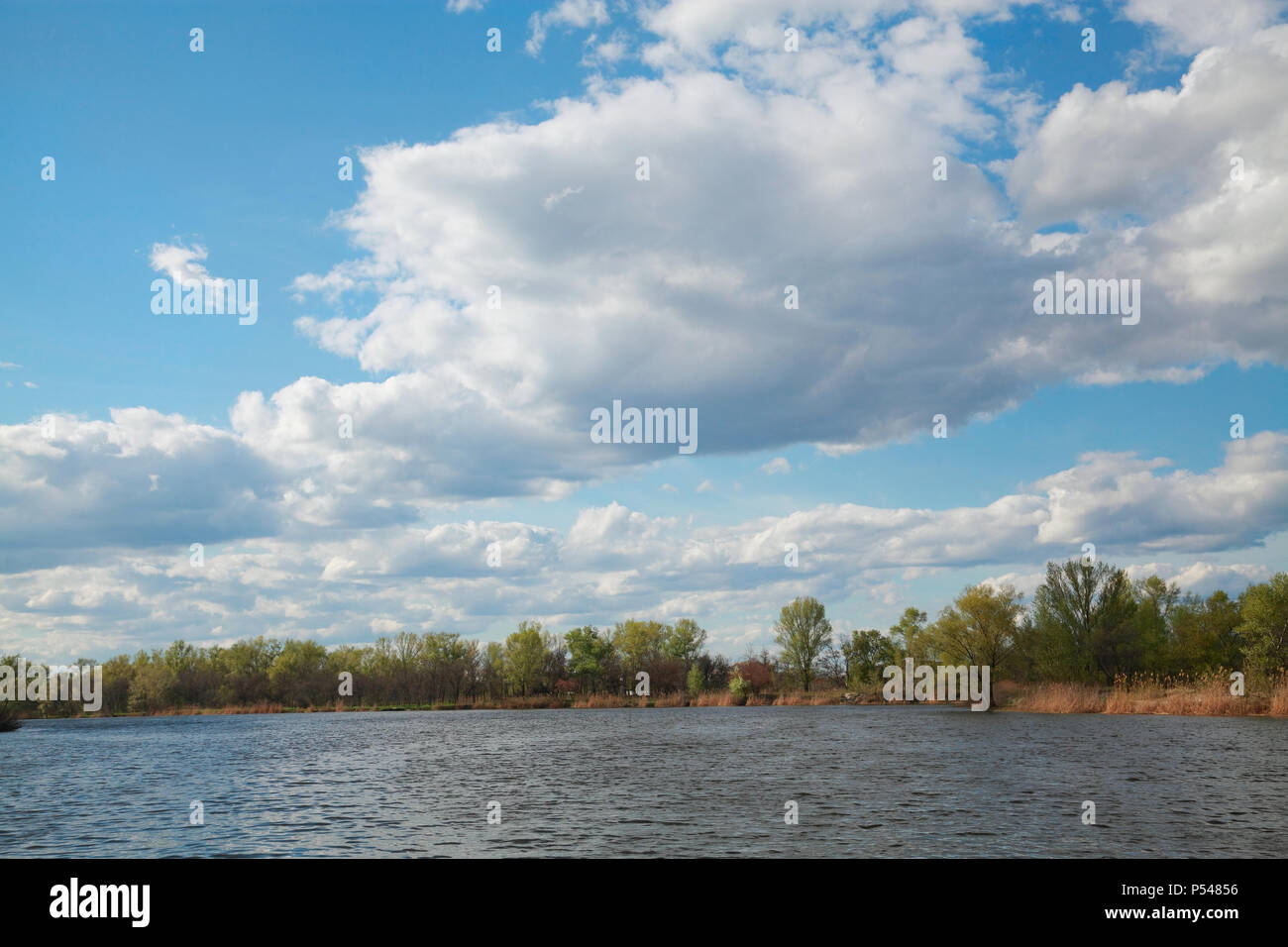 Natural landscape of river, forest, cloudy sky Stock Photo - Alamy