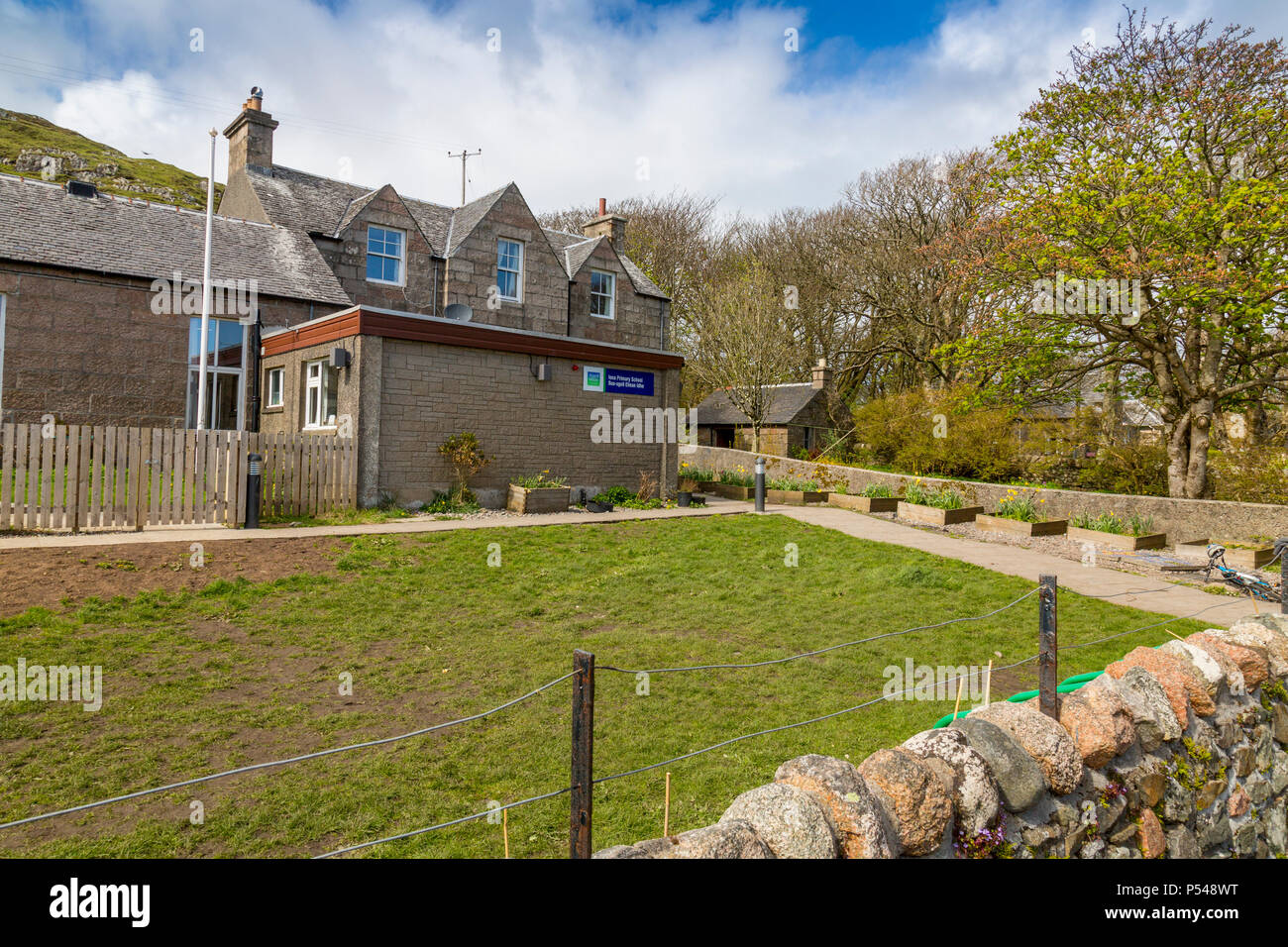 Scottish primary school hi-res stock photography and images - Alamy