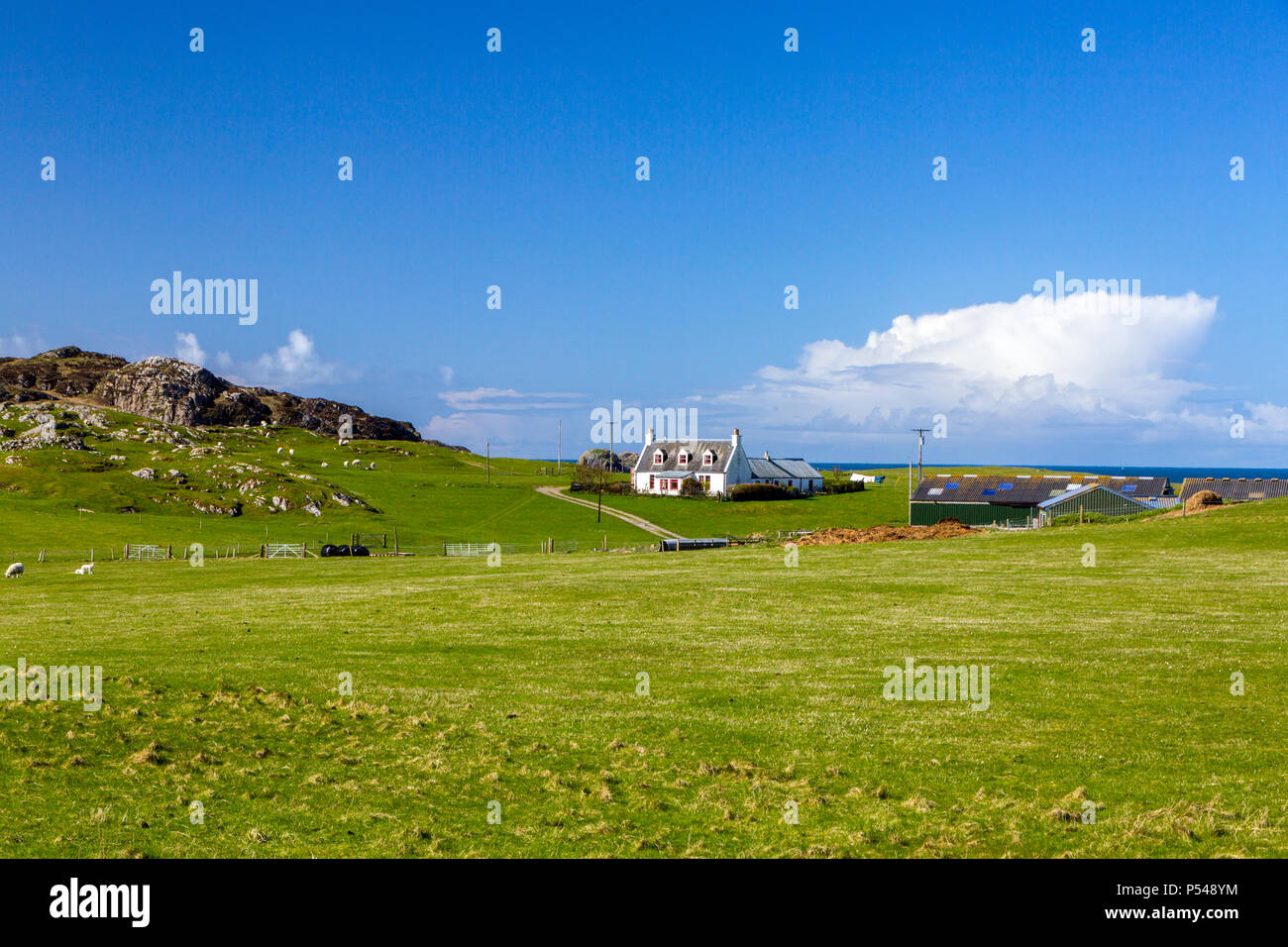An isolated and whitewashed farmhouse on the machair on the Hebridean island of Iona, Argyll and Bute, Scotland, UK Stock Photo