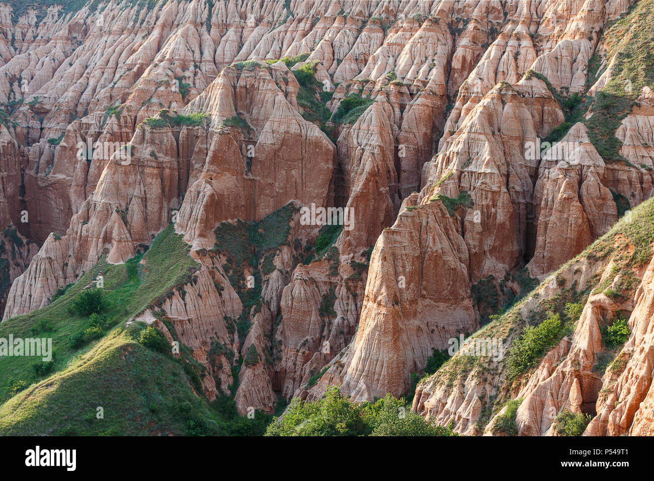 Red Ravine protected area and a natural monument, a geological and botanical reserve in Romania Stock Photo