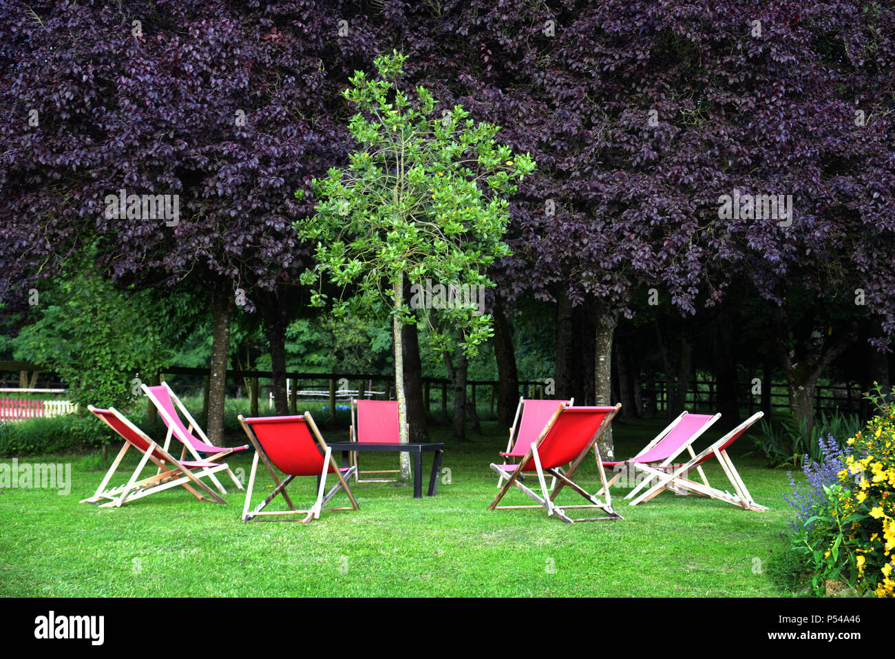 An ideal meeting place, relaxed seating for 8 outdoors in the French