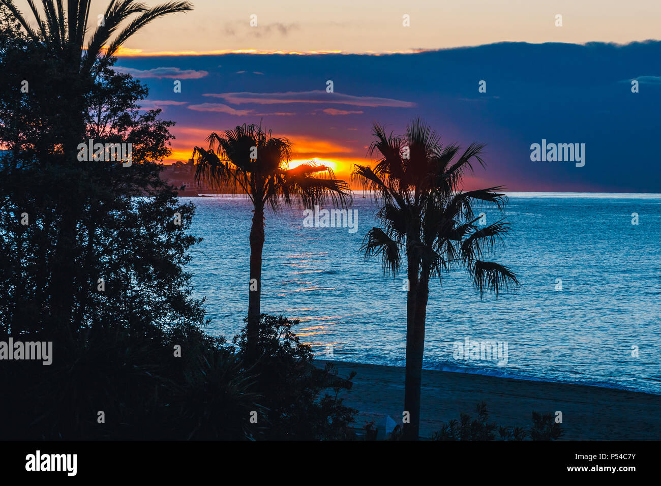 Silhouette of palm trees at sunset, Spain Stock Photo - Alamy