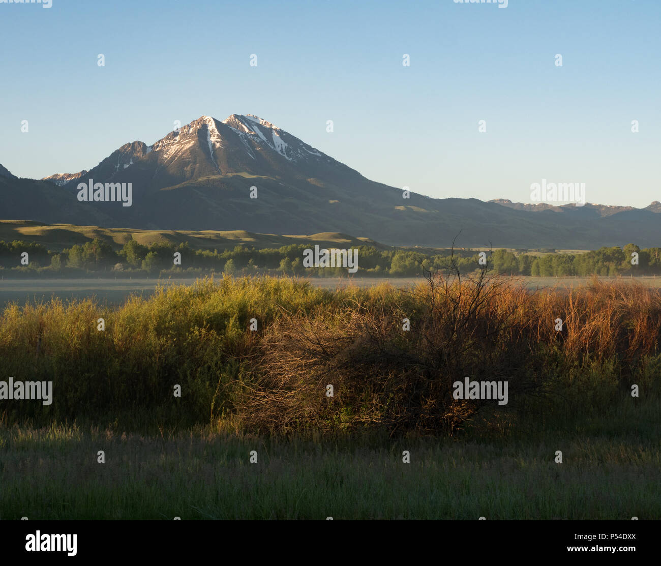 Snow capped mountains in the Absaroka Range in Montana with a fog