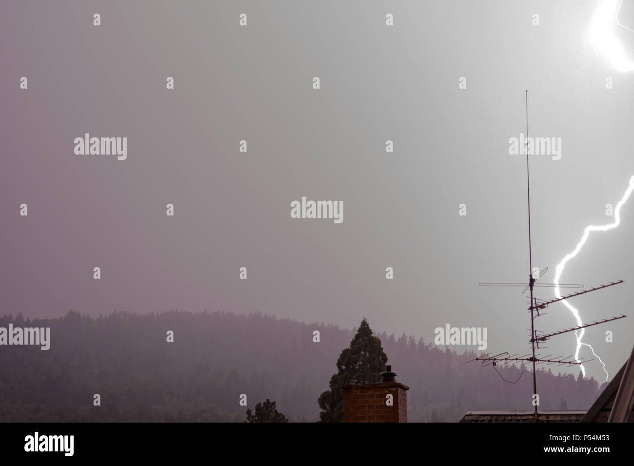 Lightning strike forest hi-res stock photography and images - Alamy