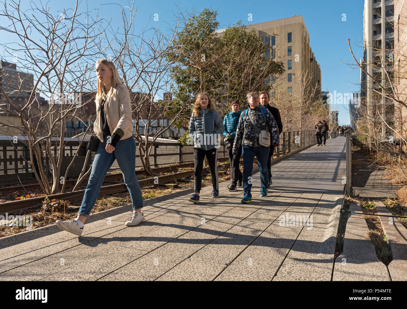 People walk the High Line Park in Manhattan, New York City, USA Stock ...