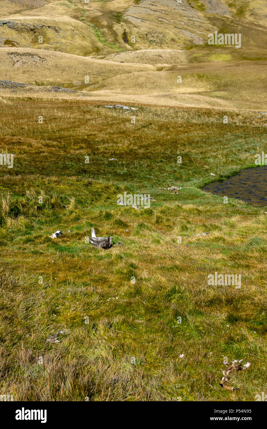 Hidden lakes in Shackleton Valley, South Island Stock Photo Alamy