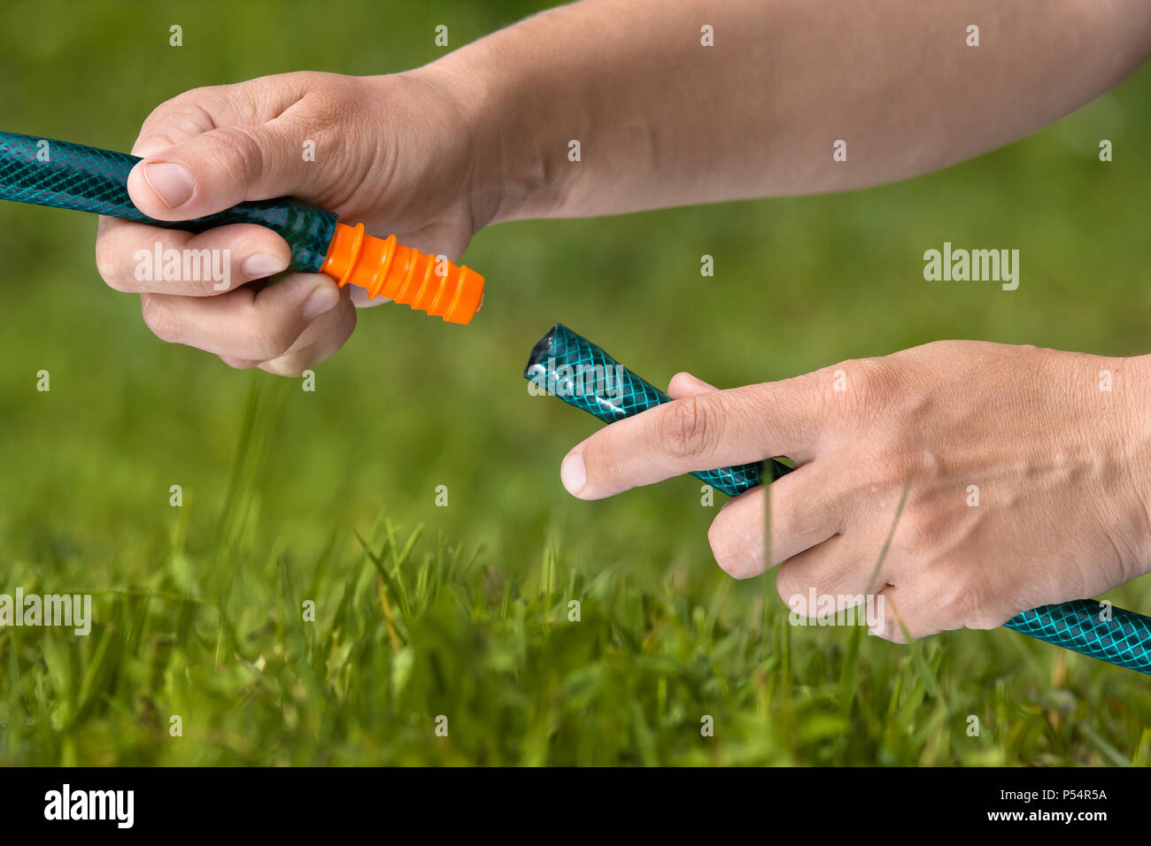 hands connecting hoses for irrigation of lawn or garden, closeup Stock Photo