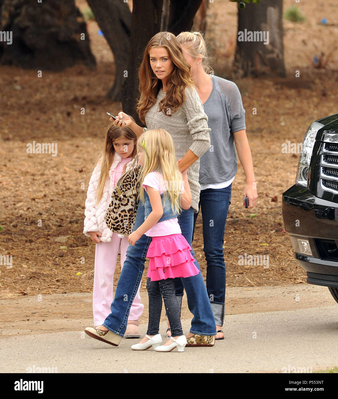 denise richards and kids