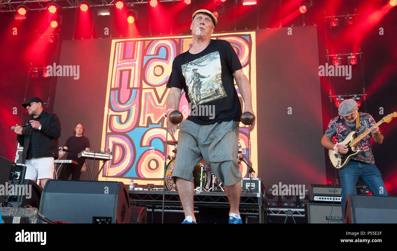Edinburgh, UK. 24th June, 2018. The Happy Mondays in concert at The Sunday Sessions Scotland, Dalkeith Country Park, Edinburgh, Great Britain 24th June 2018 Credit: Stuart Westwood/Alamy Live News Stock Photo