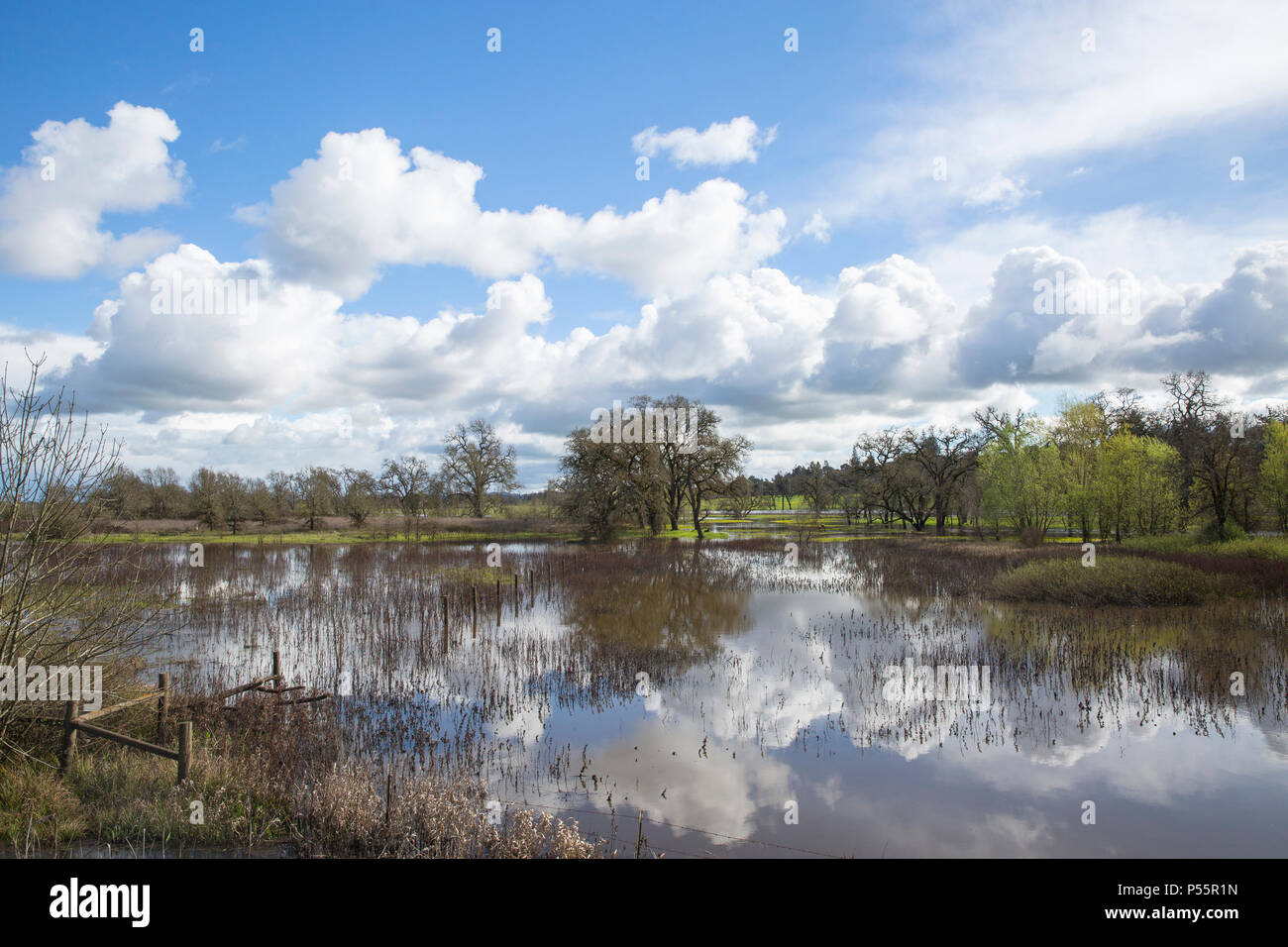 Laguna de Santa Rosa wetland after a rain Stock Photo - Alamy