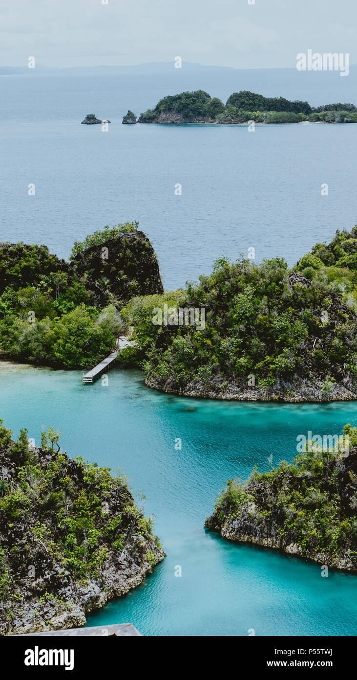 Close up of small jetty between Pianemo island overgrown with jungle plants, surrounded by shallow blue ocean lagoon. Raja Ampat, West Papua, Indonesia Stock Photo