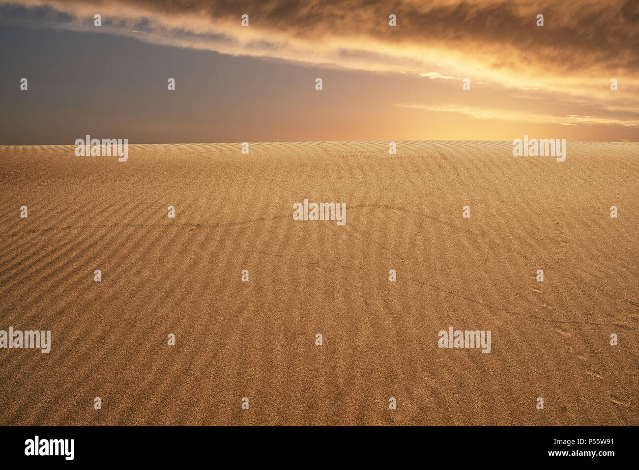 Global warming concept. Lonely sand dunes under dramatic evening sunset sky at drought desert landscape. Stock Photo