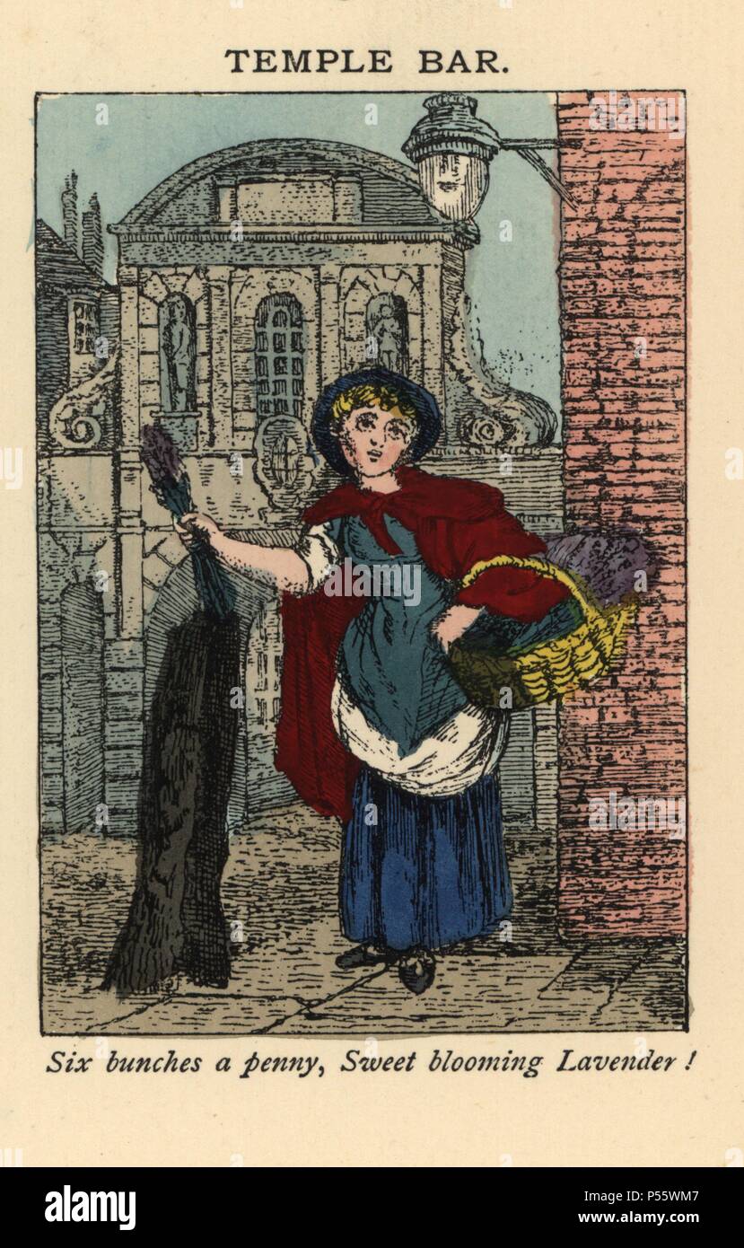 Itinerant woman lavender seller with basket selling bunches of lavender outside Temple Bar, the gateway designed by Christopher Wren. Handcoloured woodblock print from an 18th century chapbook included in Andrew Tuer's 'London Cries: with Six Charming Children and about forty other illustrations,' published by Field & Tuer, London, 1883. Stock Photo