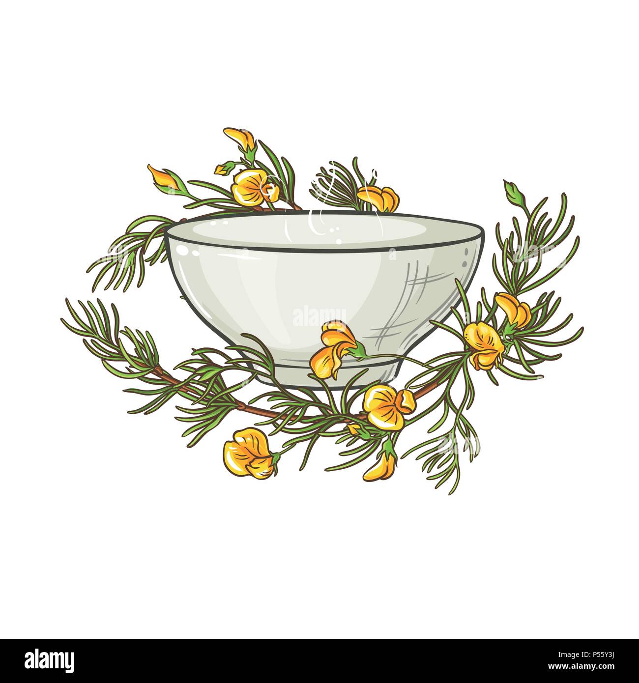 rooibos tea in tea bowl illustration on whte background Stock Vector