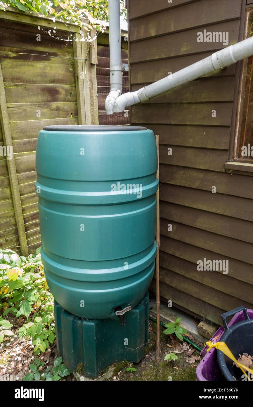 A water but fitted to collect rainwater fromt he roof of a garden shed. Stock Photo