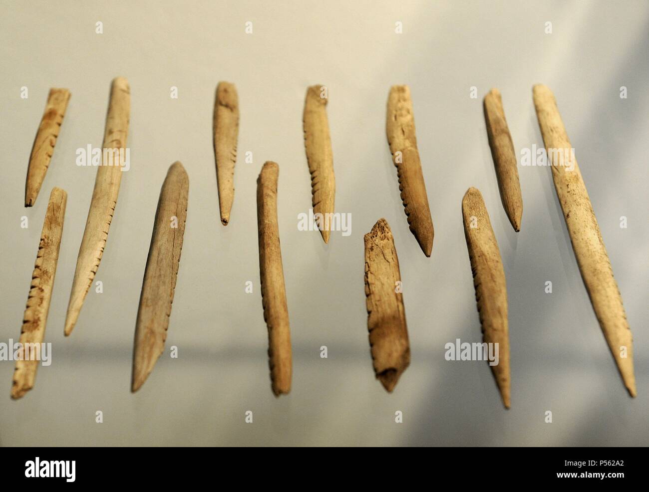 Bone objects. C. 8700 BC. Skottemarke, Lolland. Maglemosian Culture, 9500-6500 BC. Mesolithic. National Museum of Denmark. Copenhagen. Denmark. Stock Photo
