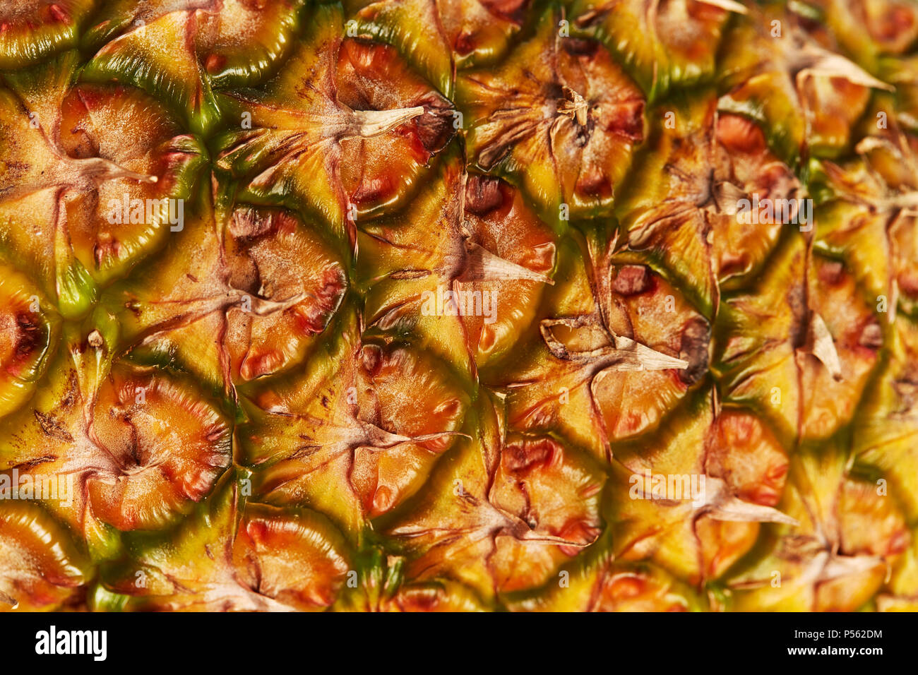 Detail pineapple texture close up, macro shot Stock Photo