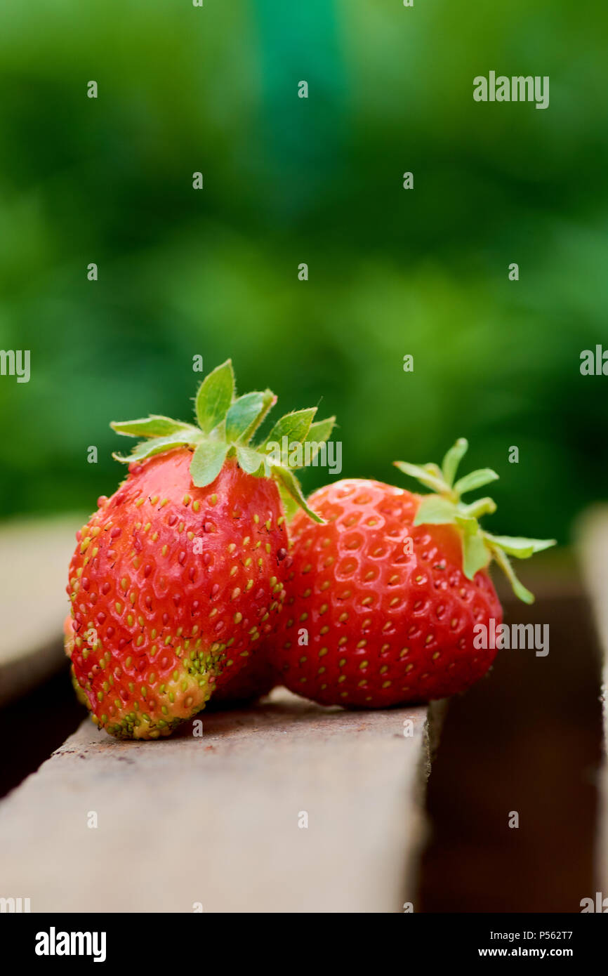 strawberry on a light background in summer ripe juicy Stock Photo - Alamy