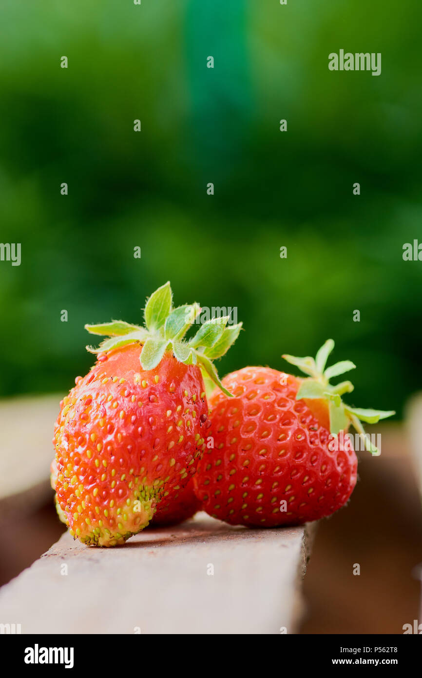 strawberry on a light background in summer ripe juicy Stock Photo - Alamy