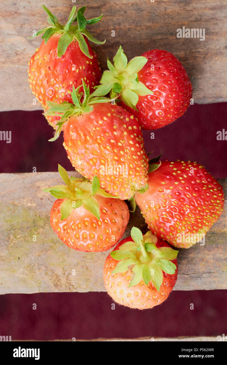 strawberry on a light background in summer ripe juicy Stock Photo - Alamy