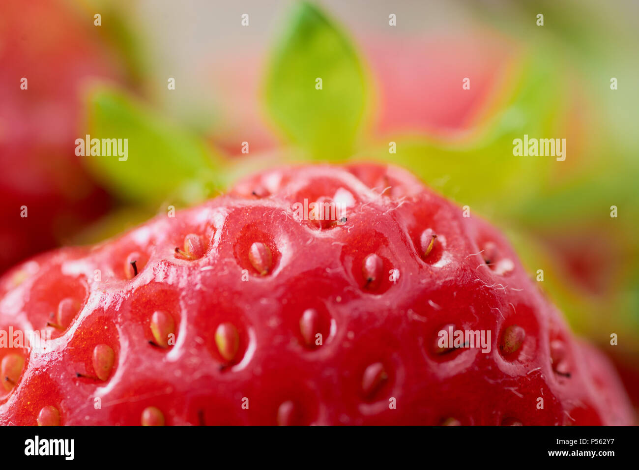 strawberry on a light background in summer ripe juicy Stock Photo - Alamy