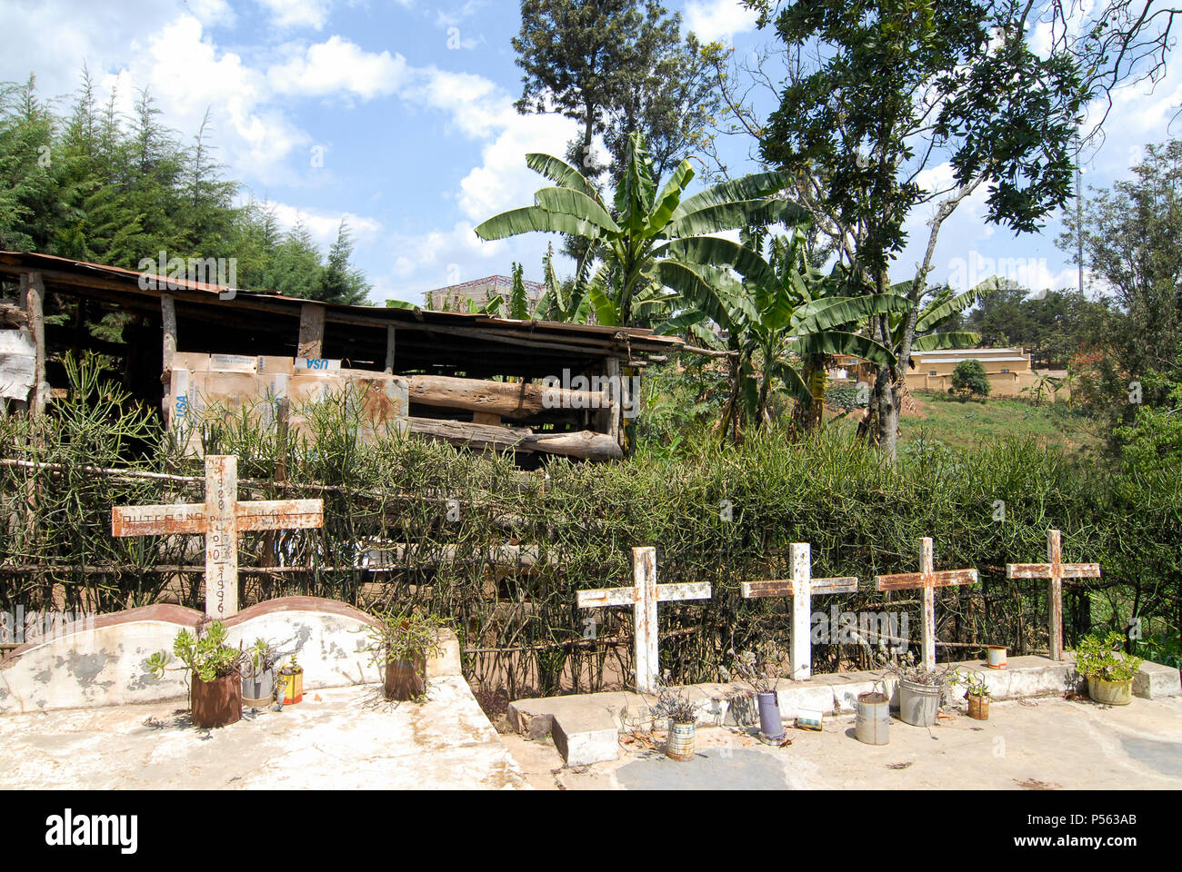 RWANDA Nyanza , Genocide survivor Tutsi Angelique Ruterana who has lost most of her family during genocide 1994 , graveyard for the killed family members at her house / RUANDA Nyanza , Ueberlebende des Genozid , Tutsi Angelique Ruterana hat ihre Familie  waehrend des Voelkermord 1994 verloren, Graeber ihrer getoeteten Angehoerigen an ihrem Wohnhaus Stock Photo