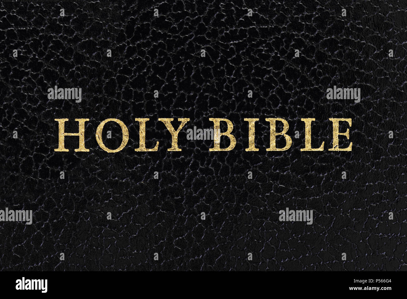 The Bible, Close Up Stock Photo