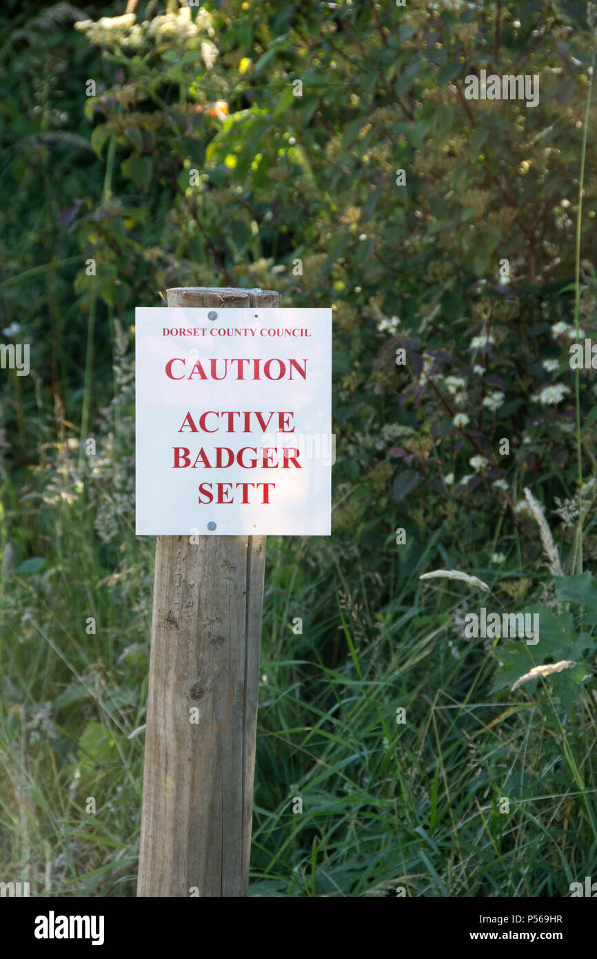 Badger Sett warning sign Stock Photo