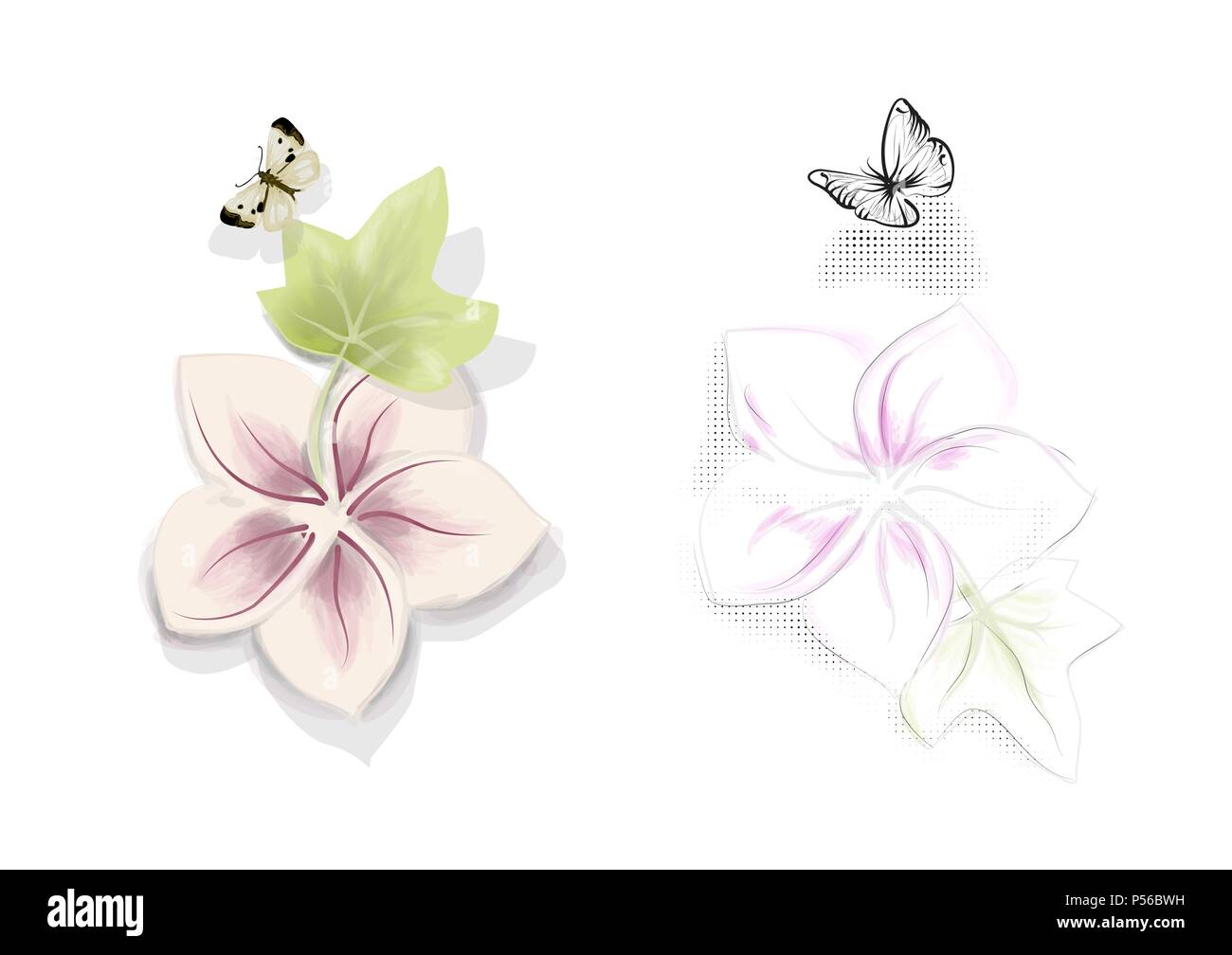 White flower and butterfly Stock Vector Images - Alamy