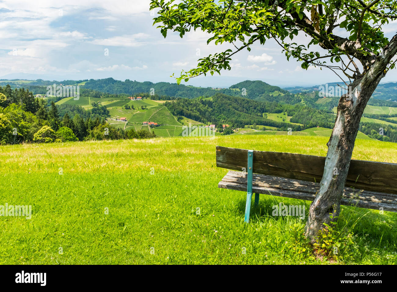 Styrian tree hi-res stock photography and images - Alamy